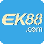wsop online poker cash games